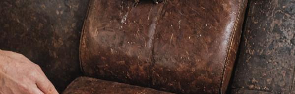 Leather conditioning and restoration